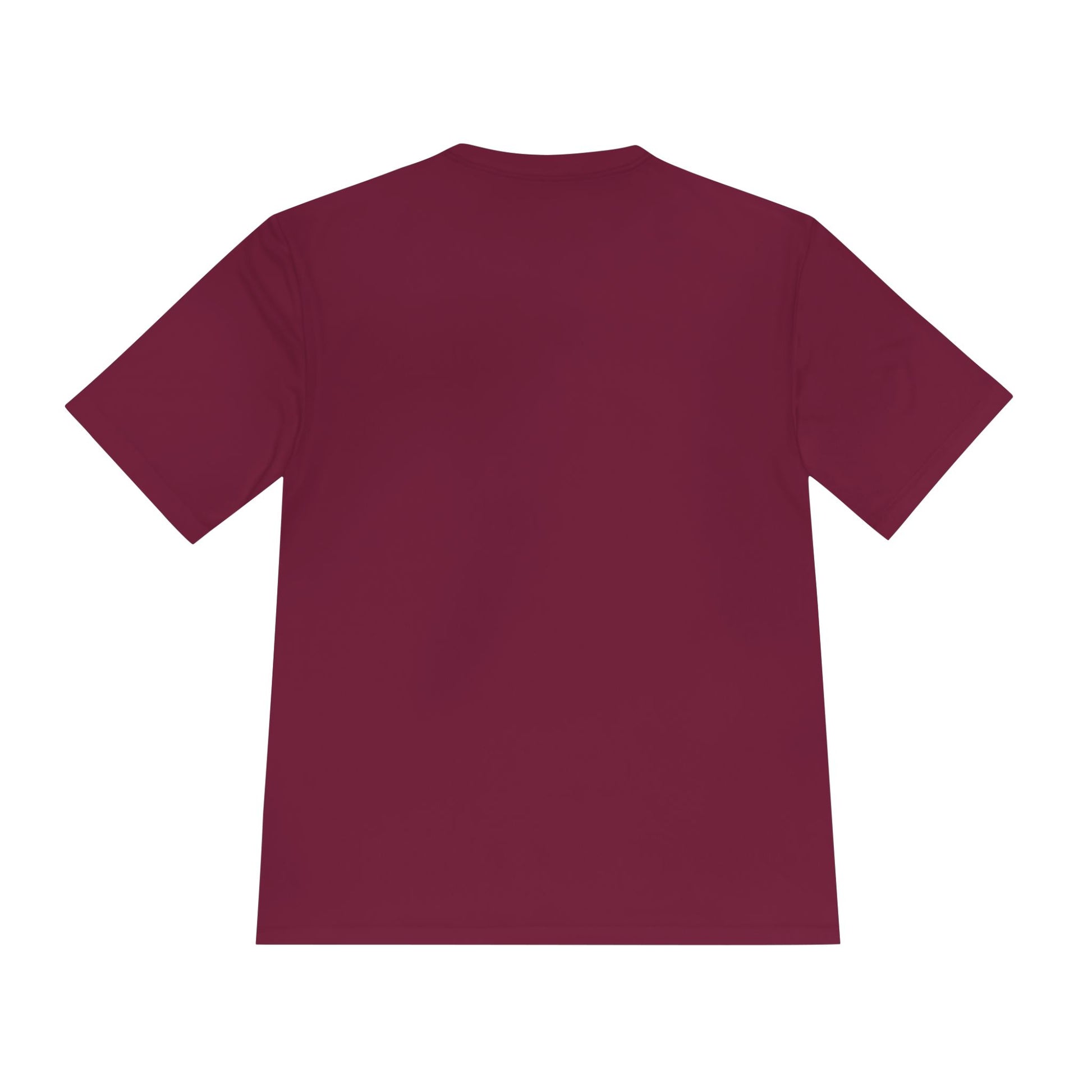 Stop the Ludicrity Unisex Moisture Wicking Tee, Casual Summer Shirt, Funny Activewear, Gift for Friends, Statement Tee